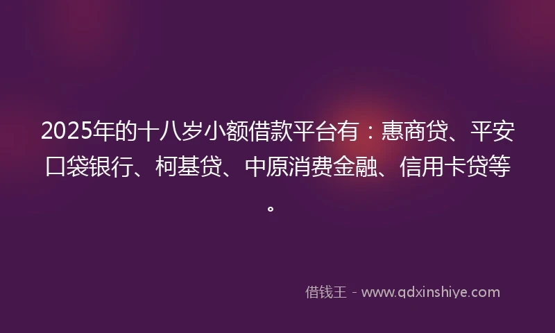 2025年的十八岁小额借款平台有：惠商贷、平安口袋银行、柯基贷、中原消费金融、信用卡贷等。