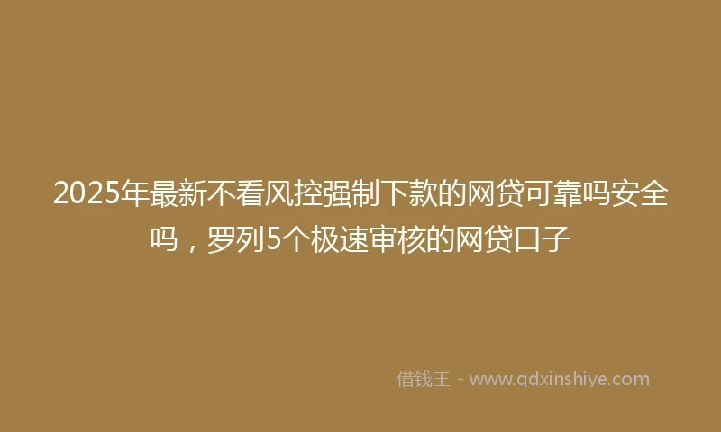 2025年最新不看风控强制下款的网贷可靠吗安全吗，罗列5个极速审核的网贷口子