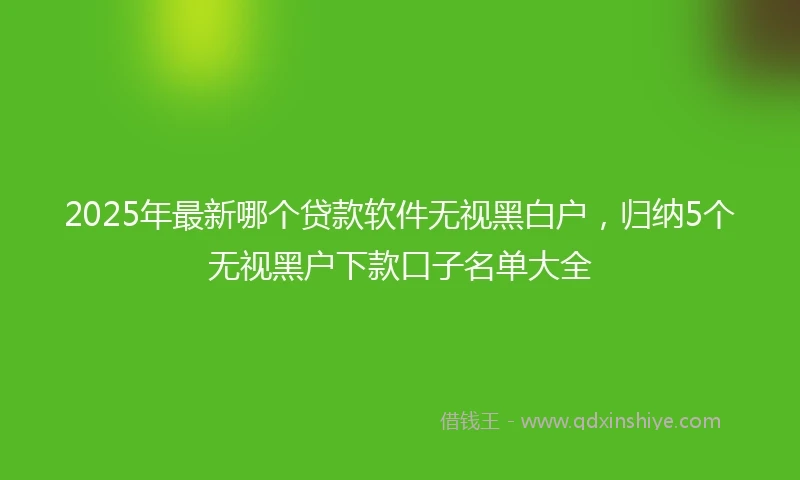 2025年最新哪个贷款软件无视黑白户，归纳5个无视黑户下款口子名单大全