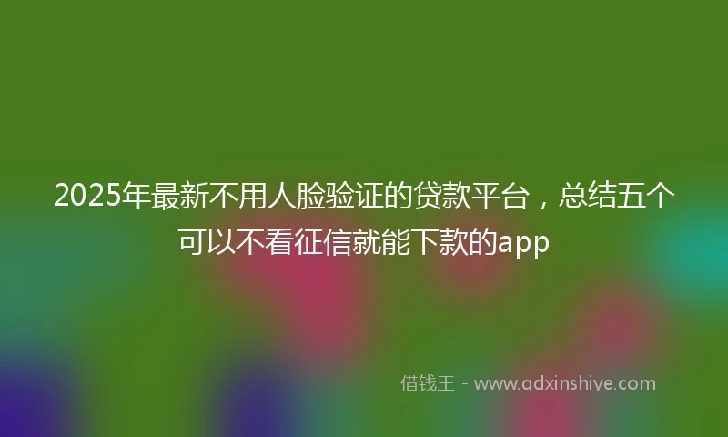 2025年最新不用人脸验证的贷款平台，总结五个可以不看征信就能下款的app