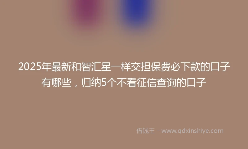 2025年最新和智汇星一样交担保费必下款的口子有哪些，归纳5个不看征信查询的口子