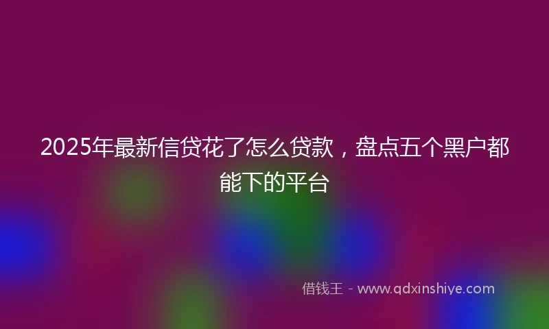 2025年最新信贷花了怎么贷款，盘点五个黑户都能下的平台
