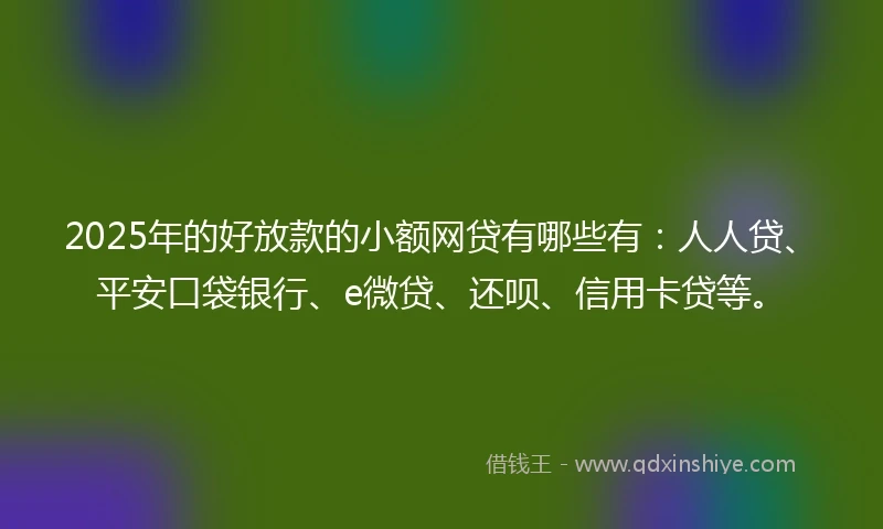 2025年的好放款的小额网贷有哪些有：人人贷、平安口袋银行、e微贷、还呗、信用卡贷等。