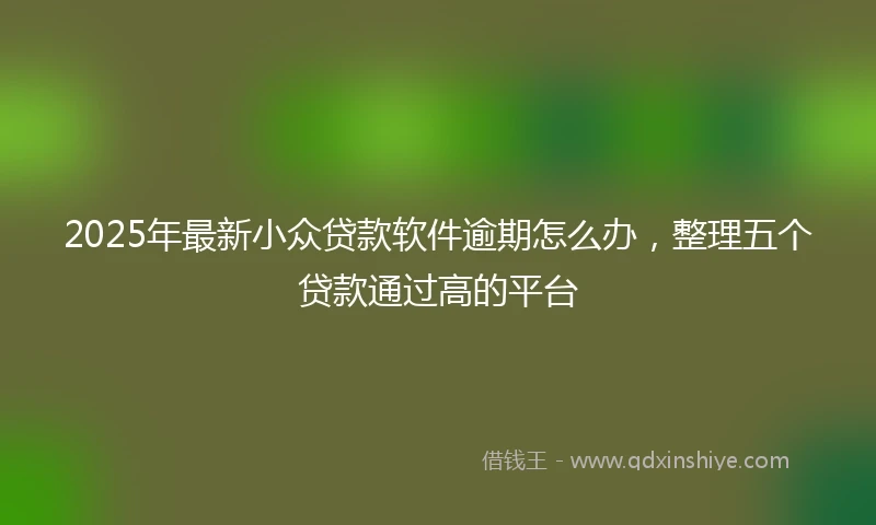2025年最新小众贷款软件逾期怎么办，整理五个贷款通过高的平台