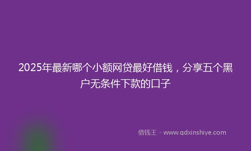 2025年最新哪个小额网贷最好借钱，分享五个黑户无条件下款的口子