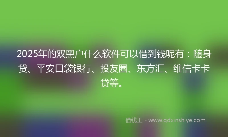 2025年的双黑户什么软件可以借到钱呢有：随身贷、平安口袋银行、投友圈、东方汇、维信卡卡贷等。