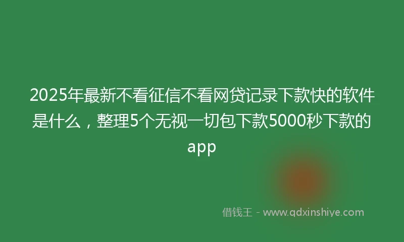 2025年最新不看征信不看网贷记录下款快的软件是什么，整理5个无视一切包下款5000秒下款的app