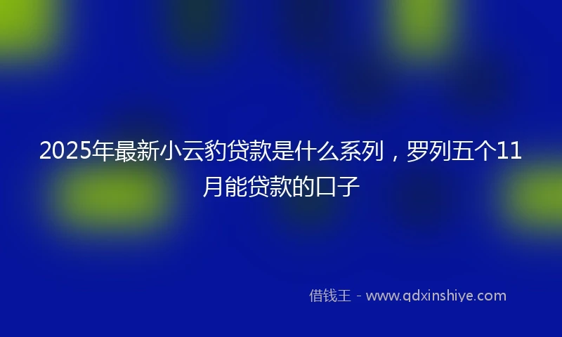 2025年最新小云豹贷款是什么系列，罗列五个11月能贷款的口子