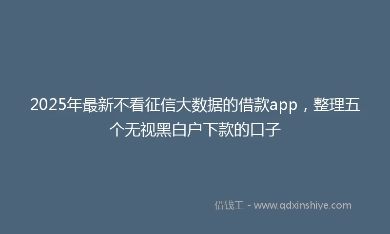 2025年最新不看征信大数据的借款app，整理五个无视黑白户下款的口子