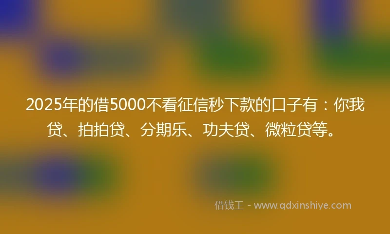 2025年的借5000不看征信秒下款的口子有：你我贷、拍拍贷、分期乐、功夫贷、微粒贷等。