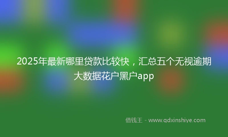 2025年最新哪里贷款比较快，汇总五个无视逾期大数据花户黑户app