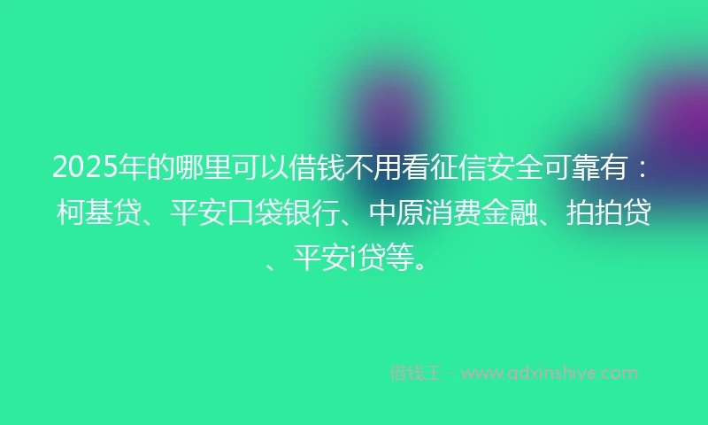 2025年的哪里可以借钱不用看征信安全可靠有：柯基贷、平安口袋银行、中原消费金融、拍拍贷、平安i贷等。