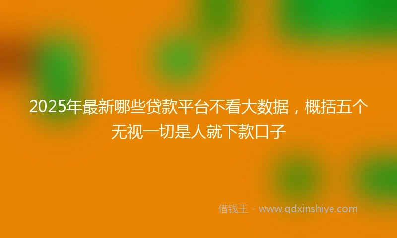 2025年最新哪些贷款平台不看大数据，概括五个无视一切是人就下款口子