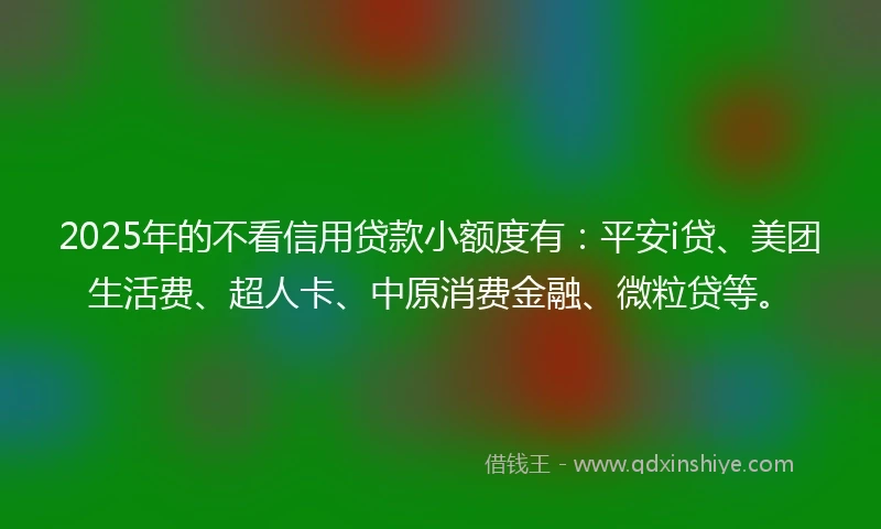 2025年的不看信用贷款小额度有：平安i贷、美团生活费、超人卡、中原消费金融、微粒贷等。