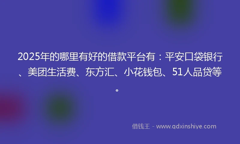 2025年的哪里有好的借款平台有：平安口袋银行、美团生活费、东方汇、小花钱包、51人品贷等。