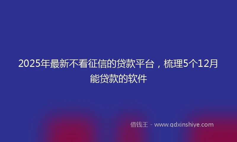 2025年最新不看征信的贷款平台，梳理5个12月能贷款的软件