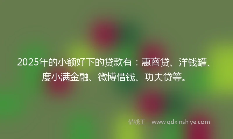 2025年的小额好下的贷款有:惠商贷、洋钱罐、度小满金融、微博借钱、功夫贷等。