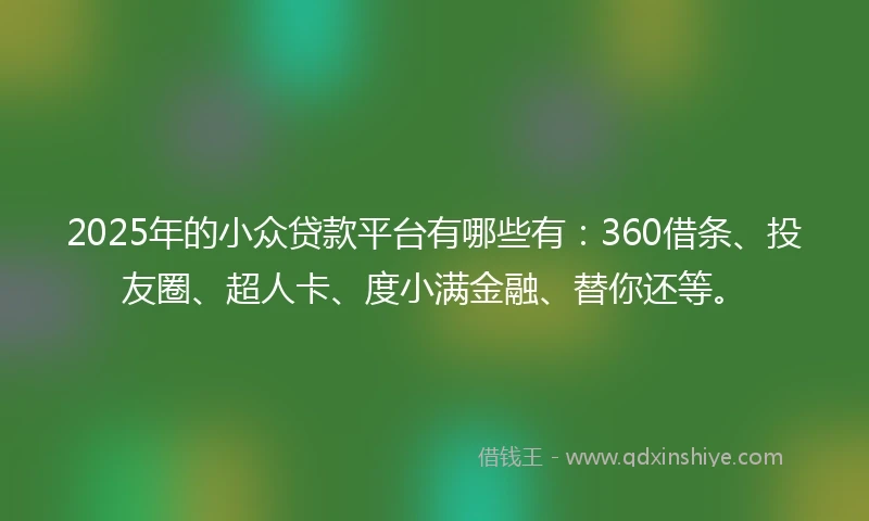 2025年的小众贷款平台有哪些有：360借条、投友圈、超人卡、度小满金融、替你还等。