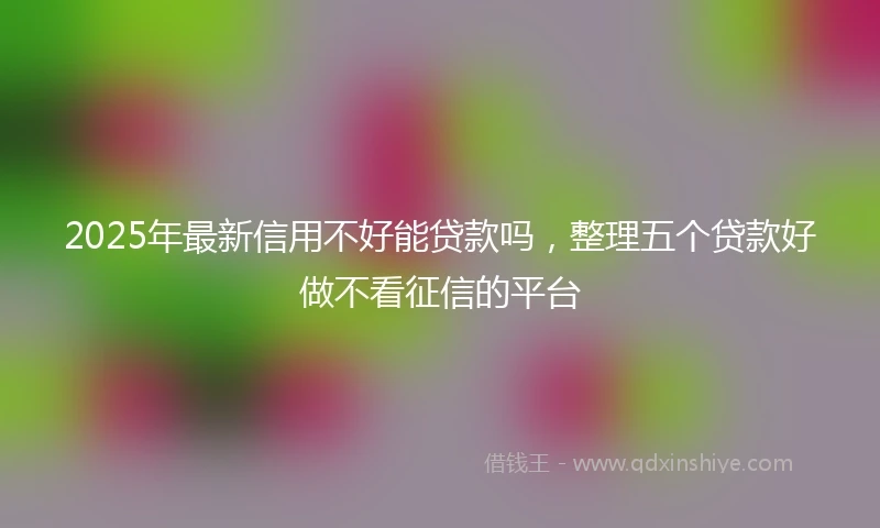 2025年最新信用不好能贷款吗，整理五个贷款好做不看征信的平台