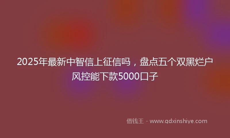 2025年最新中智信上征信吗，盘点五个双黑烂户风控能下款5000口子