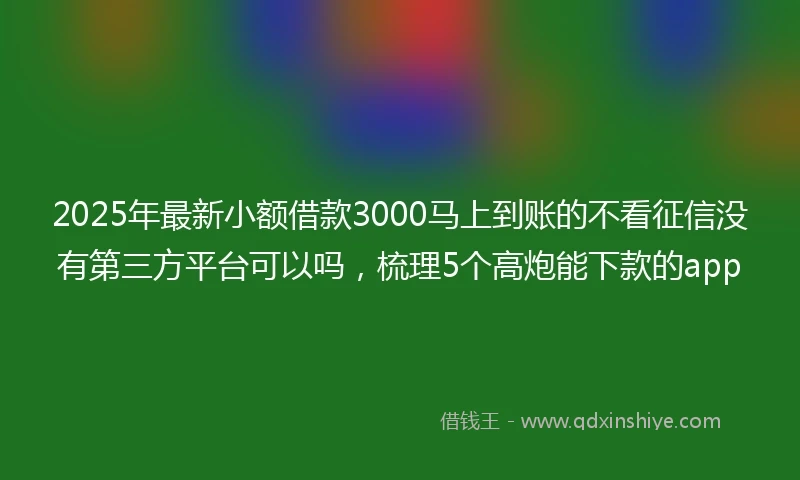 2025年最新小额借款3000马上到账的不看征信没有第三方平台可以吗，梳理5个高炮能下款的app