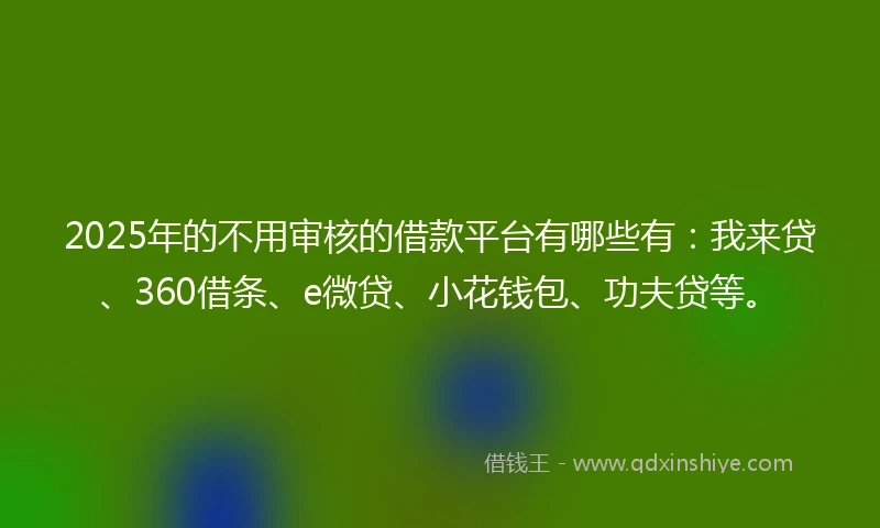 2025年的不用审核的借款平台有哪些有：我来贷、360借条、e微贷、小花钱包、功夫贷等。