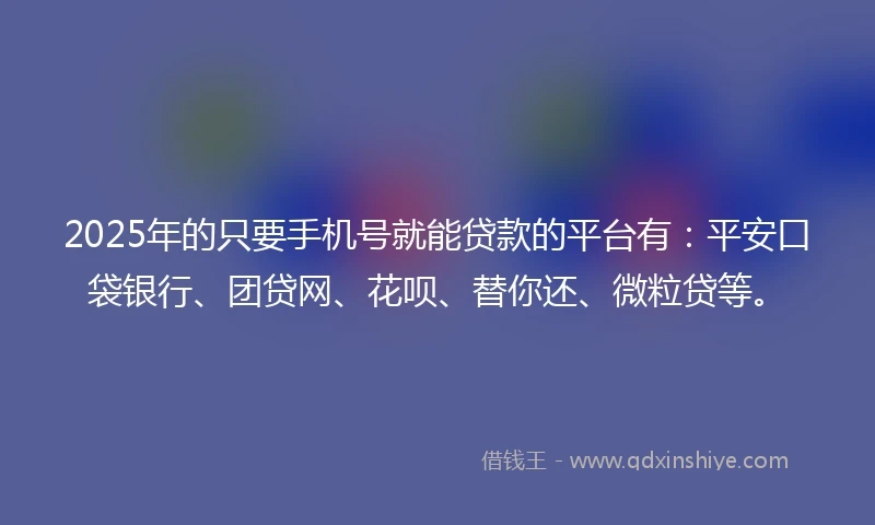 2025年的只要手机号就能贷款的平台有：平安口袋银行、团贷网、花呗、替你还、微粒贷等。