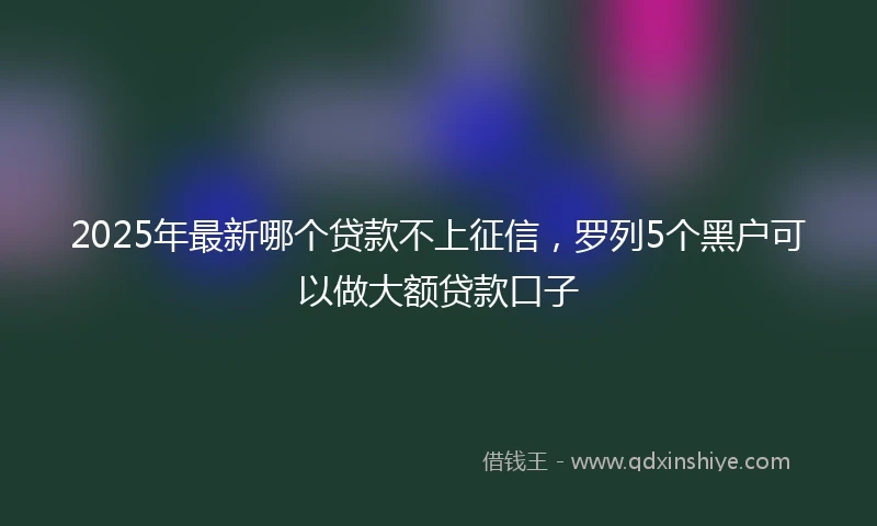 2025年最新哪个贷款不上征信，罗列5个黑户可以做大额贷款口子