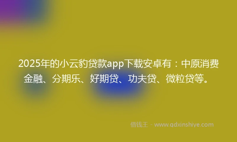 2025年的小云豹贷款app下载安卓有：中原消费金融、分期乐、好期贷、功夫贷、微粒贷等。