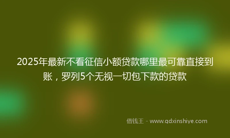 2025年最新不看征信小额贷款哪里最可靠直接到账，罗列5个无视一切包下款的贷款