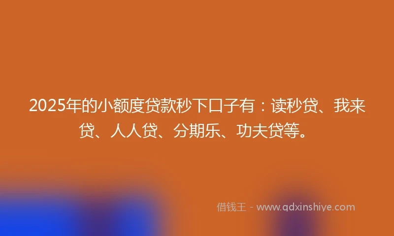 2025年的小额度贷款秒下口子有：读秒贷、我来贷、人人贷、分期乐、功夫贷等。