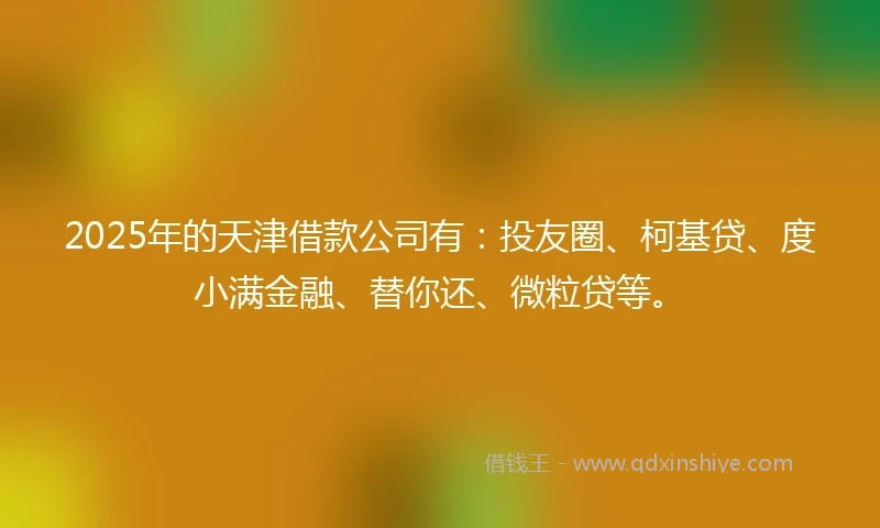 2025年的天津借款公司有：投友圈、柯基贷、度小满金融、替你还、微粒贷等。