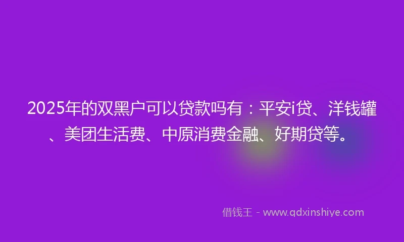 2025年的双黑户可以贷款吗有：平安i贷、洋钱罐、美团生活费、中原消费金融、好期贷等。