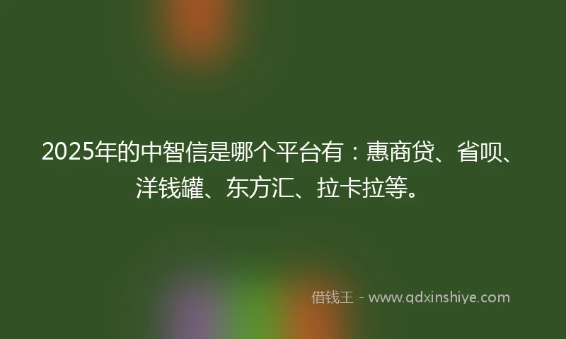 2025年的中智信是哪个平台有：惠商贷、省呗、洋钱罐、东方汇、拉卡拉等。