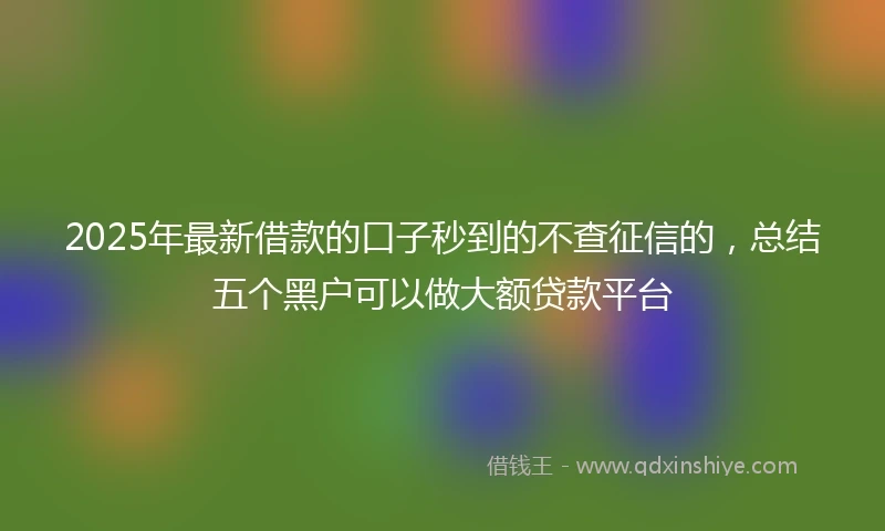 2025年最新借款的口子秒到的不查征信的，总结五个黑户可以做大额贷款平台