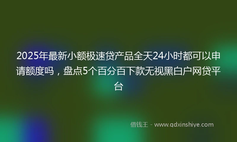 2025年最新小额极速贷产品全天24小时都可以申请额度吗，盘点5个百分百下款无视黑白户网贷平台