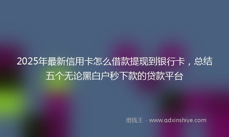 2025年最新信用卡怎么借款提现到银行卡，总结五个无论黑白户秒下款的贷款平台