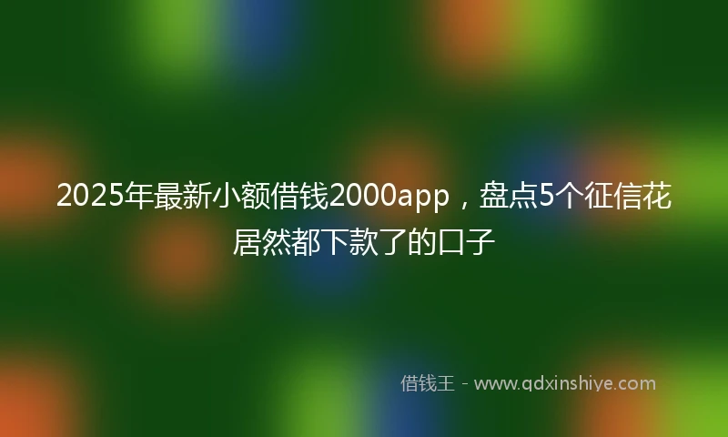 2025年最新小额借钱2000app，盘点5个征信花居然都下款了的口子