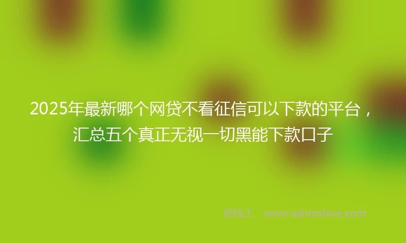 2025年最新哪个网贷不看征信可以下款的平台，汇总五个真正无视一切黑能下款口子