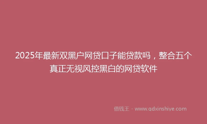2025年最新双黑户网贷口子能贷款吗，整合五个真正无视风控黑白的网贷软件