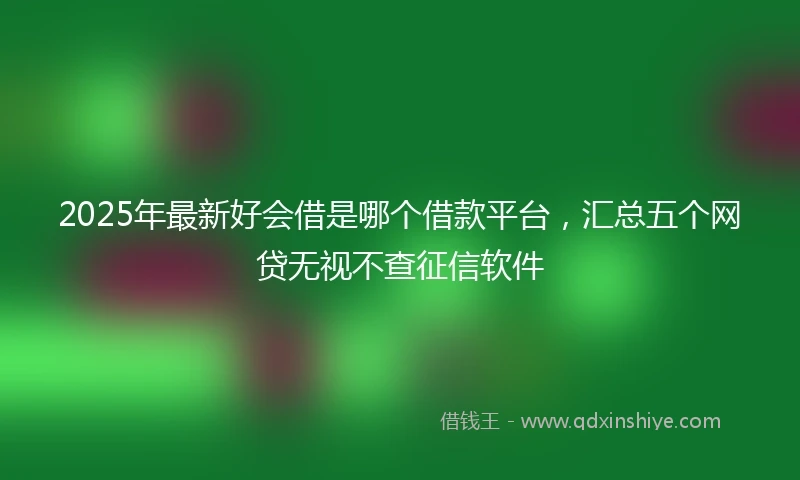 2025年最新好会借是哪个借款平台，汇总五个网贷无视不查征信软件