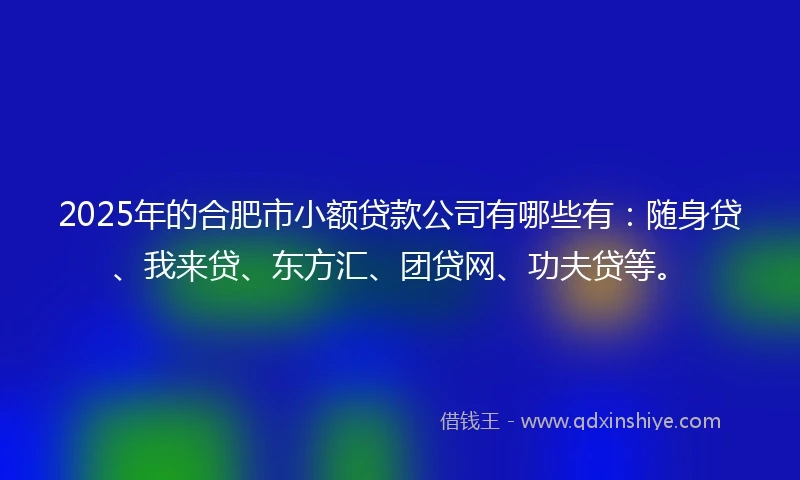 2025年的合肥市小额贷款公司有哪些有：随身贷、我来贷、东方汇、团贷网、功夫贷等。