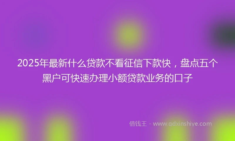 2025年最新什么贷款不看征信下款快，盘点五个黑户可快速办理小额贷款业务的口子