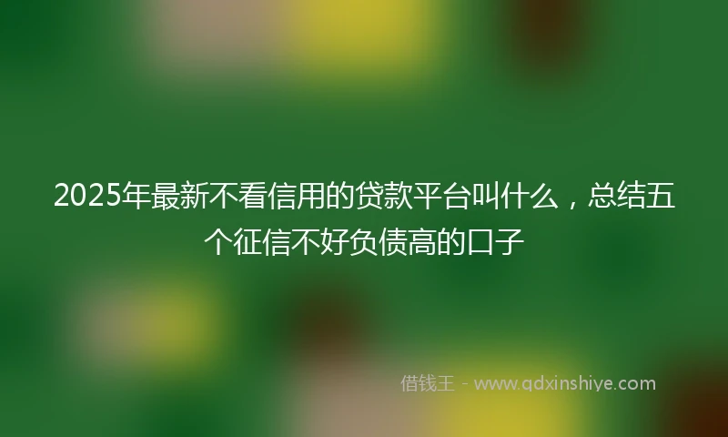 2025年最新不看信用的贷款平台叫什么，总结五个征信不好负债高的口子