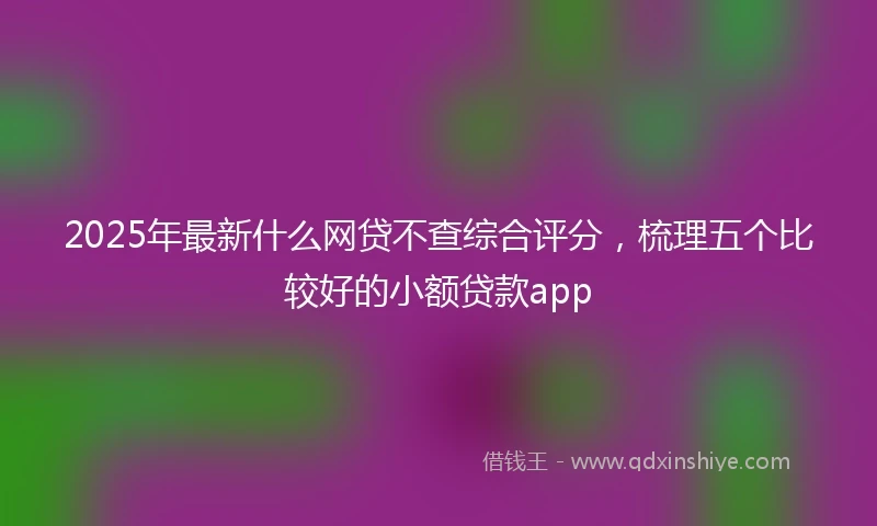 2025年最新什么网贷不查综合评分，梳理五个比较好的小额贷款app