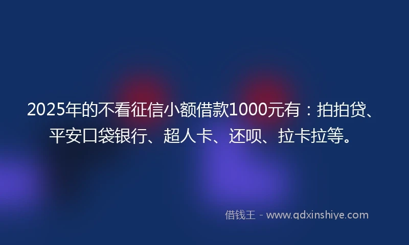2025年的不看征信小额借款1000元有：拍拍贷、平安口袋银行、超人卡、还呗、拉卡拉等。