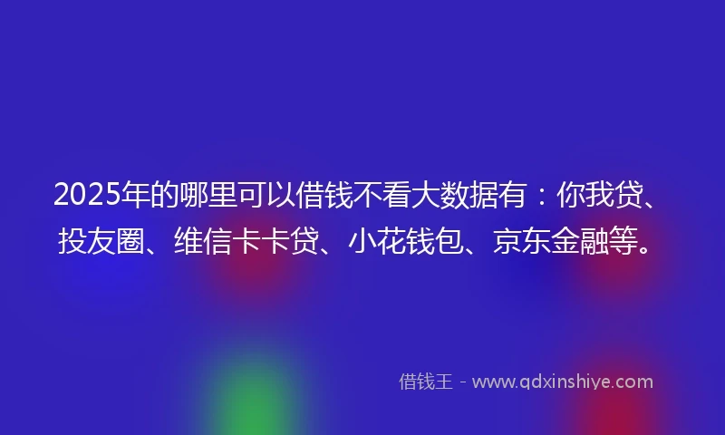 2025年的哪里可以借钱不看大数据有：你我贷、投友圈、维信卡卡贷、小花钱包、京东金融等。