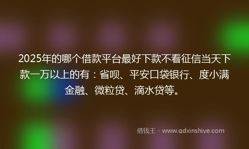 2025年的哪个借款平台最好下款不看征信当天下款一万以上的有：省呗、平安口袋银行、度小满金融、微粒贷、滴水贷等。