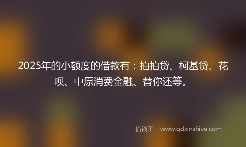 2025年的小额度的借款有：拍拍贷、柯基贷、花呗、中原消费金融、替你还等。