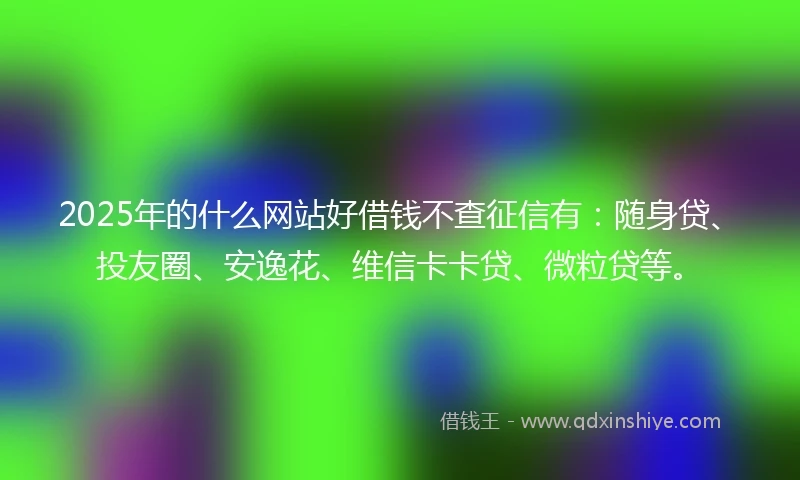 2025年的什么网站好借钱不查征信有：随身贷、投友圈、安逸花、维信卡卡贷、微粒贷等。